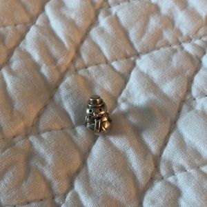 Pandora charm